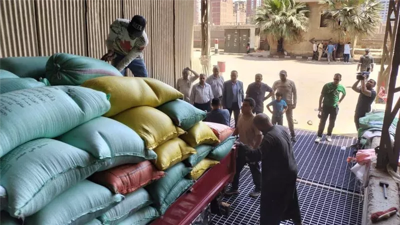 محافظ الدقهلية: توريد 250 ألف طن قمح منذ بدء موسم 2025