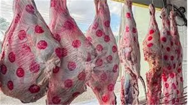 الضأن بـ 390 جنيهًا..محافظ أسيوط : طرح لحوم طازجة استعدادًا لعيد الأضحى
