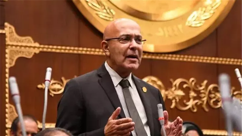 برلماني: الدبلوماسية المصرية تعمل لحشد المجتمع الدولي تجاه حل الدولتين 
