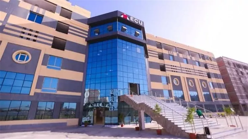 الجامعة المصرية الصينية تطلق 5 برامج رائدة بكلية الاقتصاد والتجارة الدولية