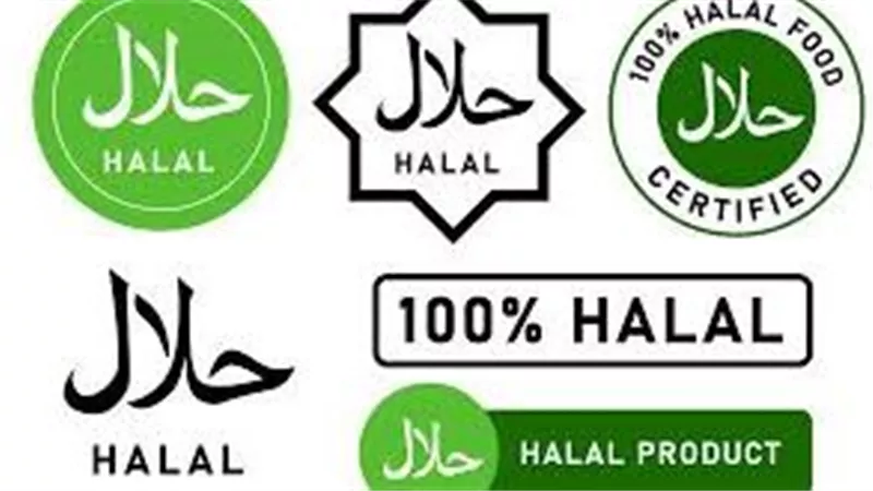  اقتصادي: تنويع جهات إصدار شهادة «الحلال» يعزز الصادرات المصرية