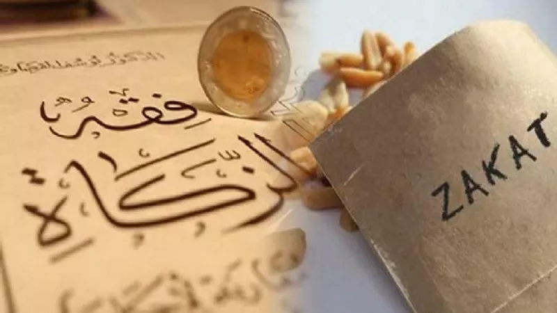 هل يجوز دفع الزكاة للأبناء أو البنات؟.. الإفتاء توضح الحالات الجائزة 