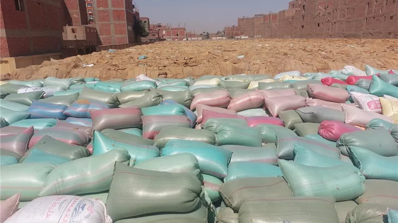 محافظ أسيوط: توريد أكثر من 153 ألف طن من القمح المحلي حتى الآن