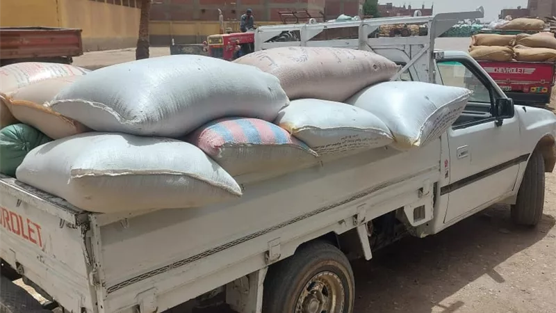 ضبط 6 أطنان قمح فاسدة وتحرير 571 محضرًا خلال حملات تموينية بأسيوط 