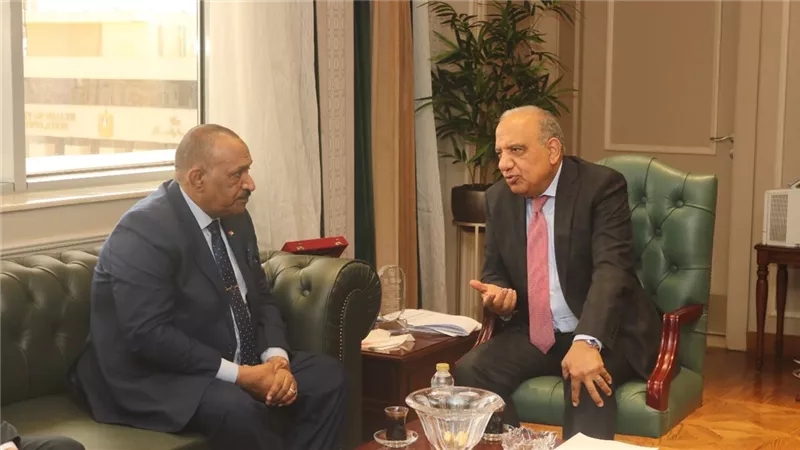 محمود عصمت: قطاع الكهرباء لديه تجارب ناجحة في تنفيذ الخطط الإسعافية العاجلة