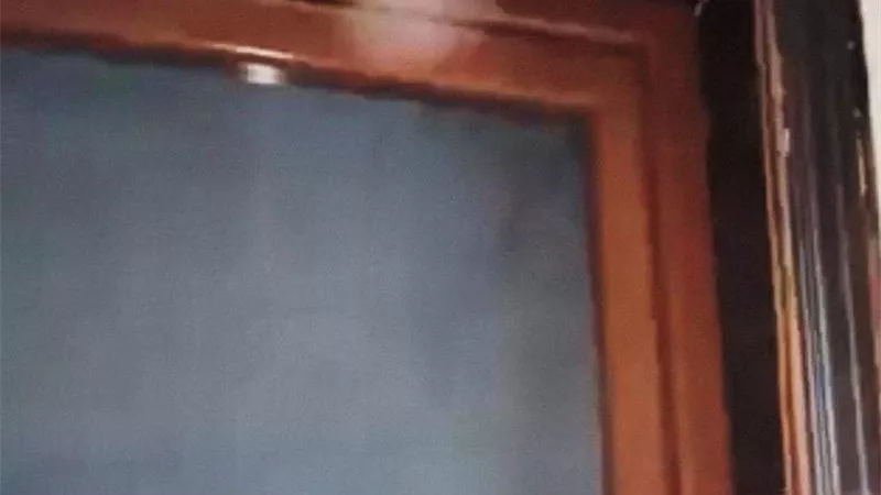 بسبب الفنانة مشيرة إسماعيل.. أحمد النبراوي يكشف تفاصيل غلق عيادة البيطرية