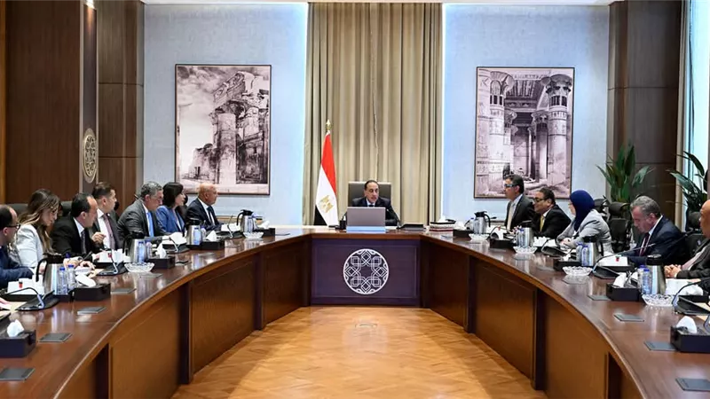 أيمن العشري: حريصون على دعم جهود الدولة لدعم قطاع الحديد والصلب