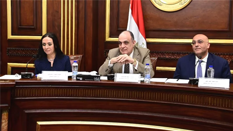 وزيرة التضامن : برنامج تكافل وكرامة خدم 7.7 مليون أسرة