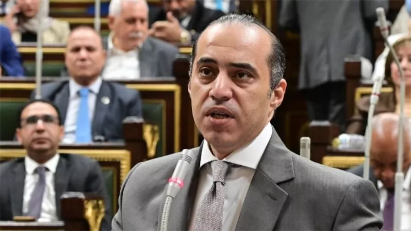  المستشار محمود فوزي: الحكومة لا تريد المساس بالدستور والرئيس لن يسمح بذلك 