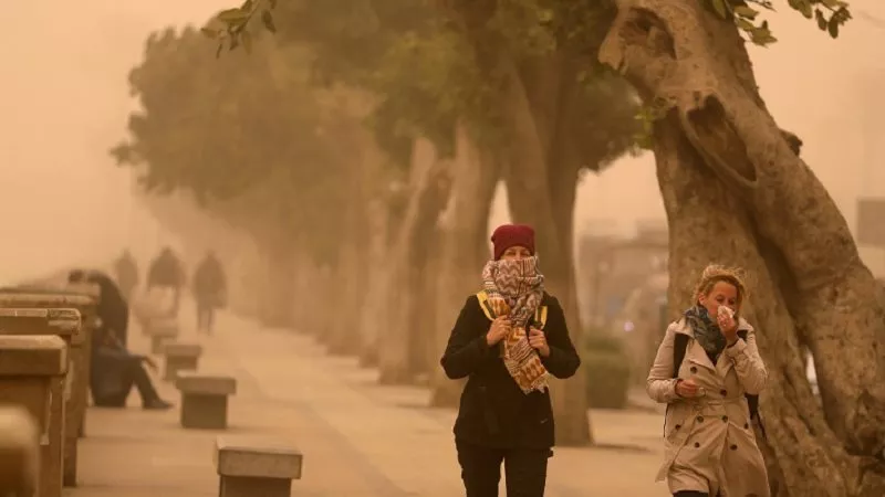 خبير مناخي: الربيع في مصر لم يعد كما كان بسبب التغيرات المناخية