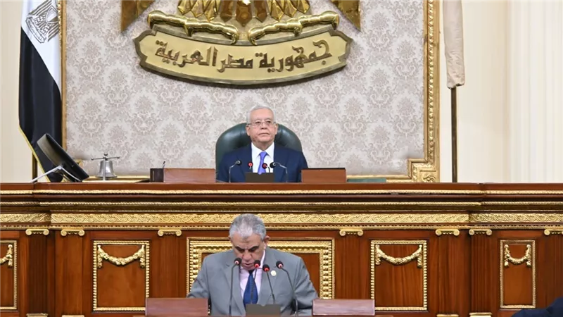 قوى النواب:العلاوة تؤكد أن الاقتصاد الوطنى يسير بخطى ثابتة نحو التنمية الشاملة