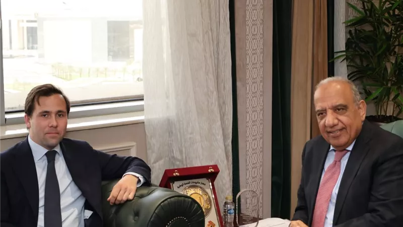 عصمت: الاستفادة من الخبرات السويدية فى دعم استقرار وكفاءة الشبكة الكهربائية