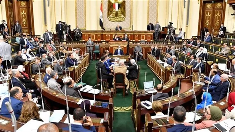 تعاون بين تنمية المشروعات ومجلس النواب لدعم المشروعات الصغيرة للشباب