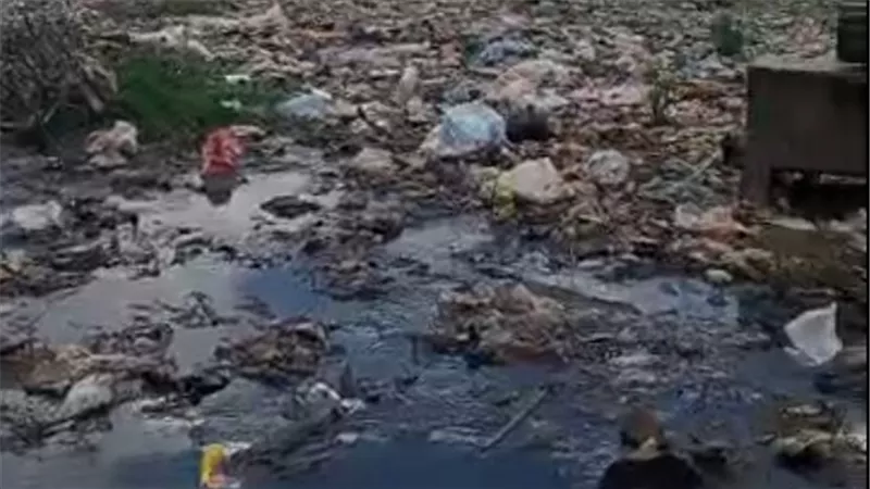 القمامة تحاصر أنطونيادس بالبحيرة.. الأهالي: بنشرب مجاري والتعابين بتهاجمنا