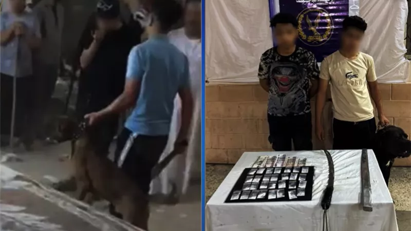 أسلحة بيضاء ومخدرات وكلب مفترس.. القبض على متهمين بممارسة البلطجة بالجيزة 