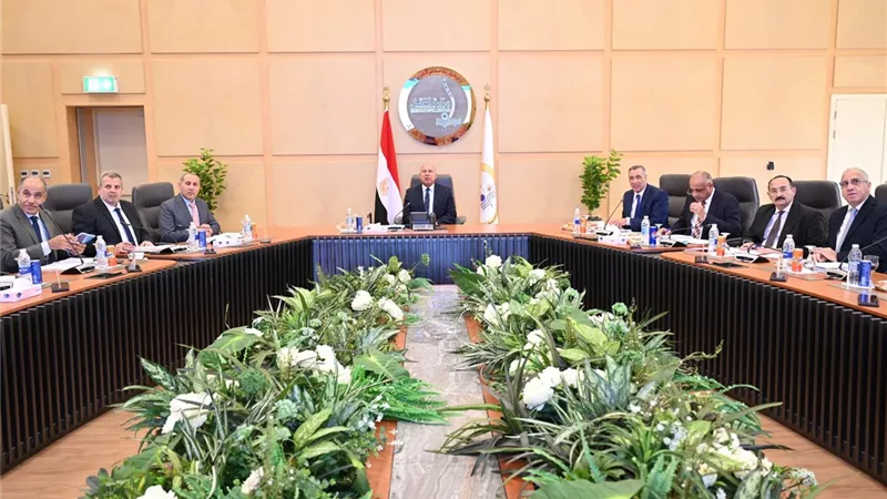 «إيرماس» تحقق إيرادات قياسية 70.5 مليون جنيه في عام 2024 