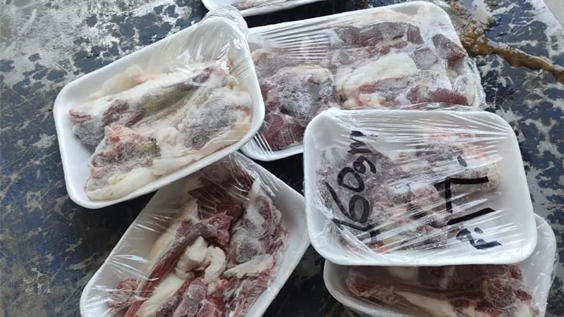 أسيوط: ضبط لحوم غير صالحة للاستهلاك وتحرير 265 محضرًا في حملات تموينية