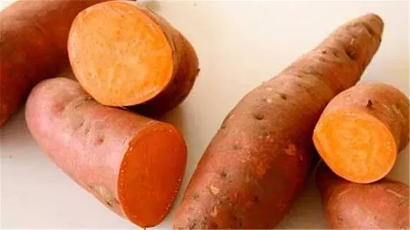 البطاطا الحلوة كنز غذائي غني بفيتامين أ يحافظ على البصر وصحة الجلد