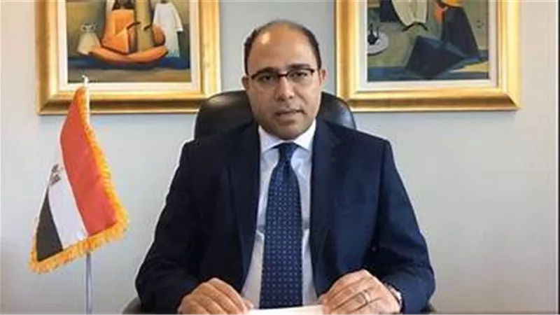 استثمارات أوروبية لمصر بقيمة 7.4 مليارات يورو.. السفير أحمد أبو زيد يكشف 