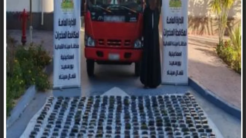ضبط ترسانة أسلحة نارية و3 عناصر إجرامية في حملة أمنية بالمحافظات