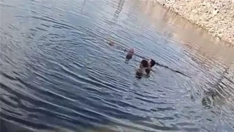 جارٍ البحث عن جثمانه.. مصرع شاب غرقا أثناء الاستحمام فى ترعة بقنا