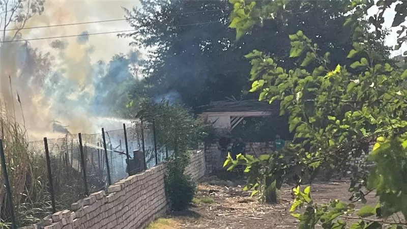 نفوق 3 رؤوس ماشية في حريق مزرعة مواشي بكفر محفوظ في الفيوم