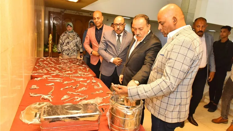 محافظ أسيوط: نجحنا في إعادة تأهيل 1600 آلة جراحية وتوفير ملايين الجنيهات 