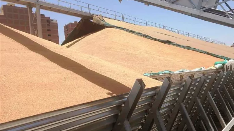 شركة إماراتية تورد 40 ألف طن قمح إلى مصر بقيمة 584 مليون جنيه