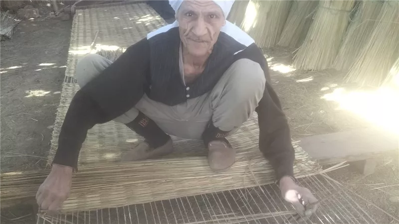 سيدات ورجال يعملون .. قرية سلامون أشهر قرى المنوفية في صناعة الحصير 