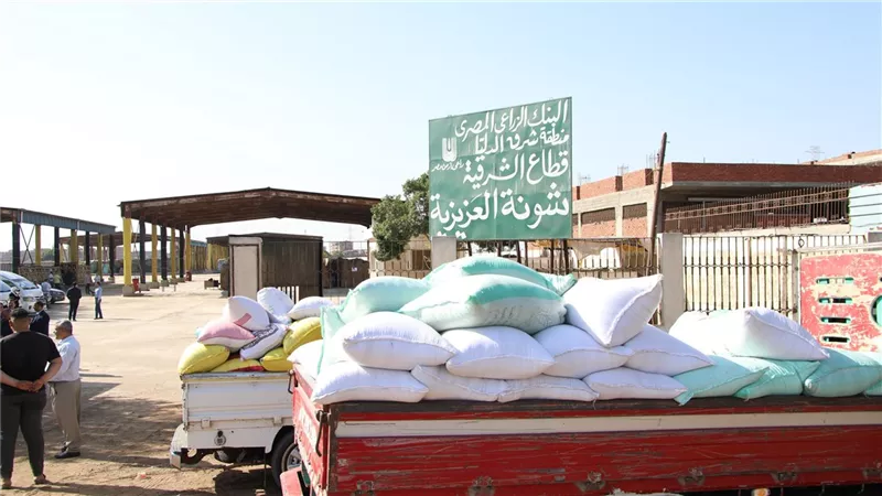 وزير الزراعة: الدولة تقدم كافة الدعم لمزارعي القمح بإعتباره محصول استراتيجي 