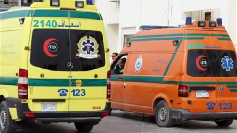 إصابة 12 شخصا إثر انقلاب سيارة محملة بالعمالة الزراعية بالبحيرة