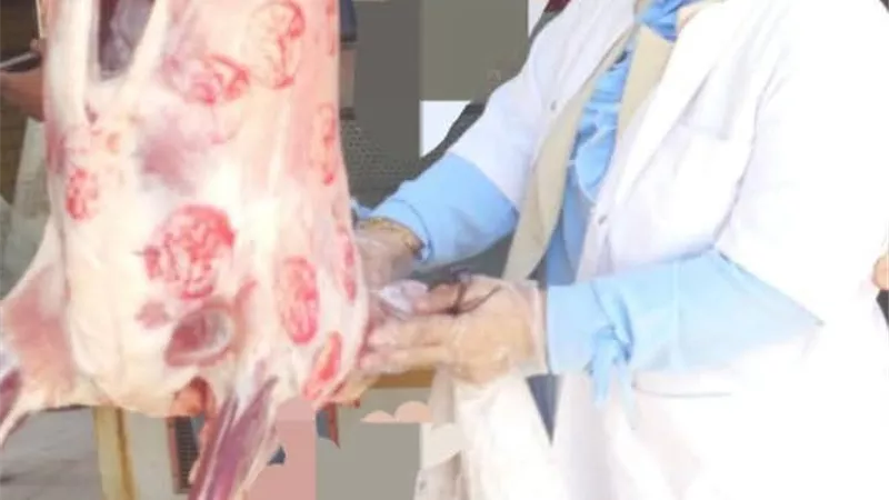 مديرية الطب البيطري بالسويس تضبط 110 كيلو جرام لحوم غير صالحة |صور