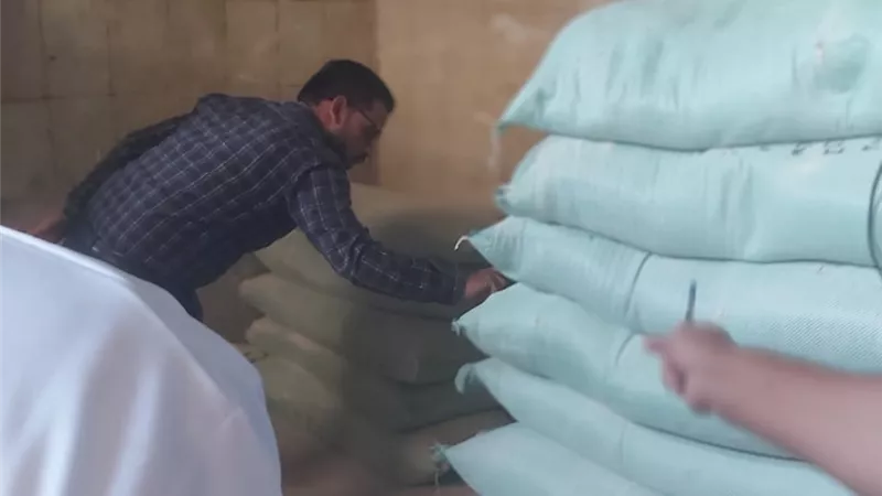 توريد 256 ألف طن قمح بالشون والصوامع بمحافظة بني سويف 