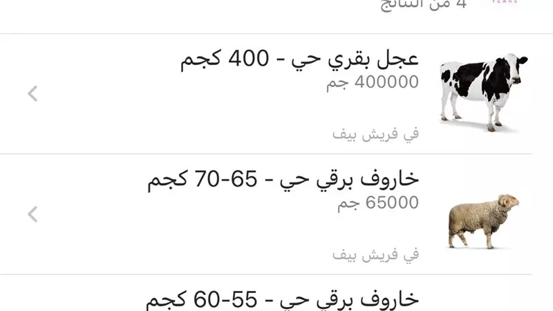 الأضاحي بقت أونلاين.. مواقع إلكترونية تعرض الأبقار والخراف للبيع عن بعد
