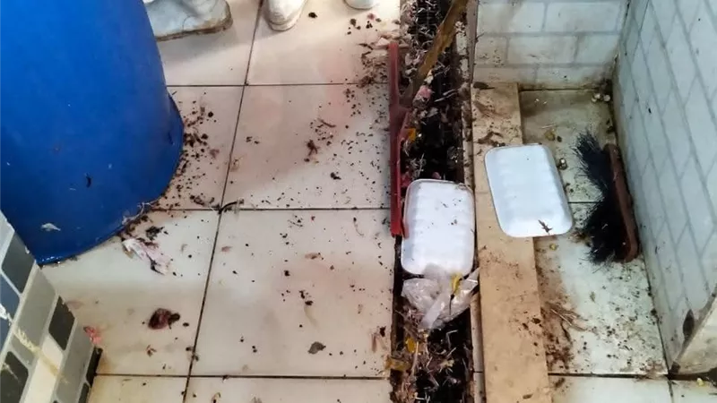 قبل عيد الأضحي.. إعدام 303 كيلو لحوم غير صالحة للاستهلاك الآدمي بالسويس