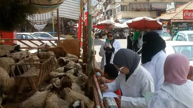 بيطري بورسعيد يستعد لعيد الأضحى بحملات مكثفة على منافذ بيع اللحوم 