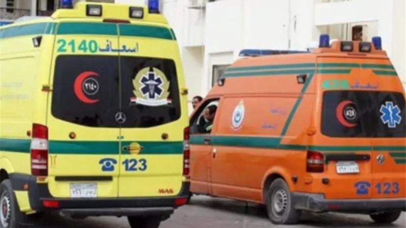وفاة سائق وطفل في تصادم سيارتين نقل على الطريق الصحراوي بالبحيرة