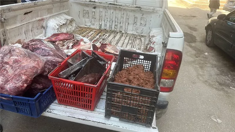 ضبط لحوم مذبوحة خارج المجازر ومواد غذائية غير صالحة للاستهلاك في الفيوم