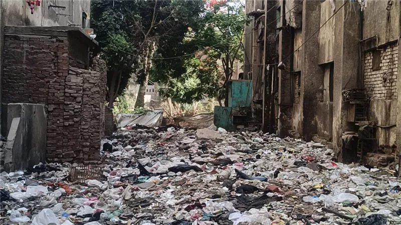 «الثعابين دخلت بيوتنا».. سكان الفيوم يصرخون من تلال القمامة |صور