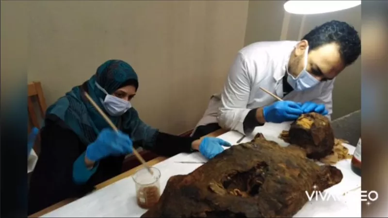 أنامل تصنع الخلود… مرمم مصري ينجح بترميم باروكة عمرها 3000 عام 