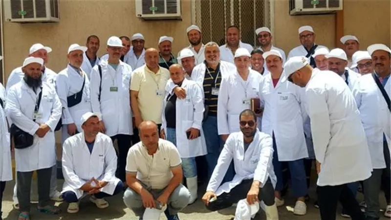 وزارة الزراعة: 220 طبيب بيطري مصري لفحص الأضاحي في الأراضي المقدسة