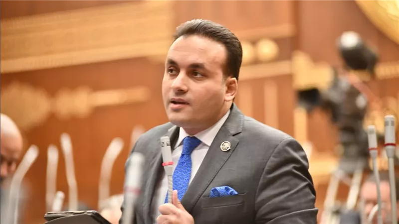 عمرو فهمي: كلمة السيسي تعكس إدراكًا عميقًا لتحديات السلم والأمن في أفريقيا