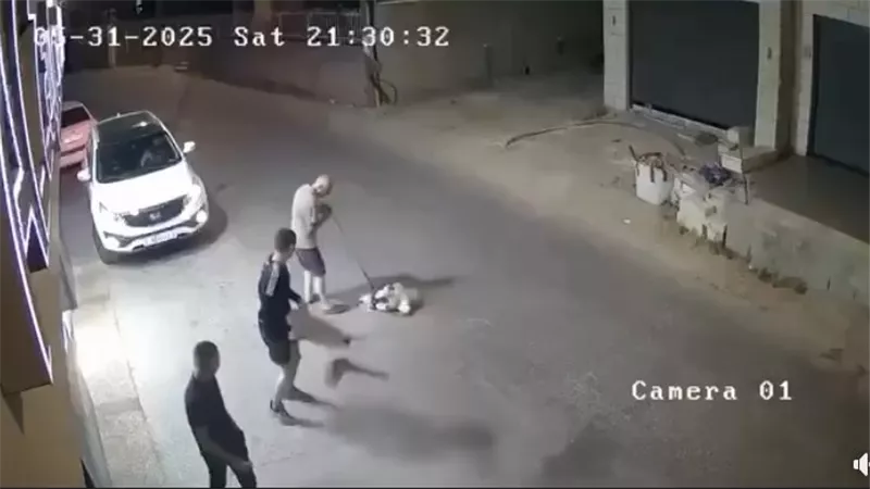 مات في الحال.. شاب يعتدي على كلب أثناء سيره رفقة مسن  