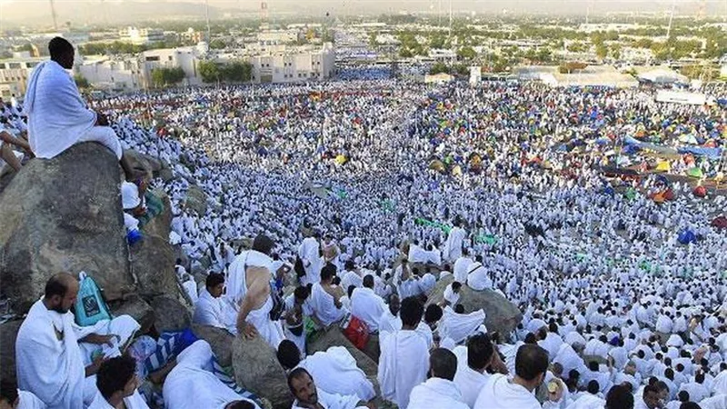 أول أيام الحج| ضبط 60 وافدًا من حاملي تأشيرات الزيارة لمخالفتهم التعليمات