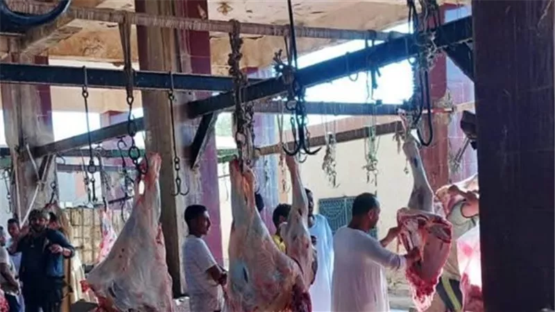 محافظ أسوان: تشكيل لجنة لمنع ذبح لحوم الأضاحي بالطرق والشوارع