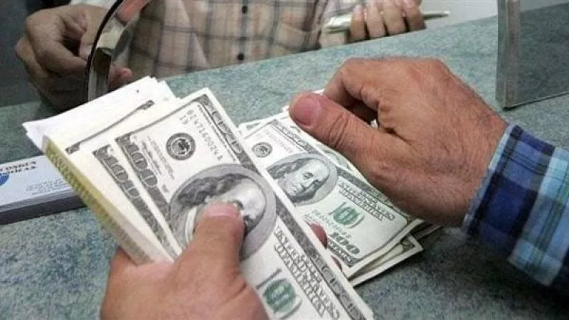 تحويلات المصريين بالخارج ترتفع من 31.2% إلى 43.1 مليار دولار خلال 11 شهرًا