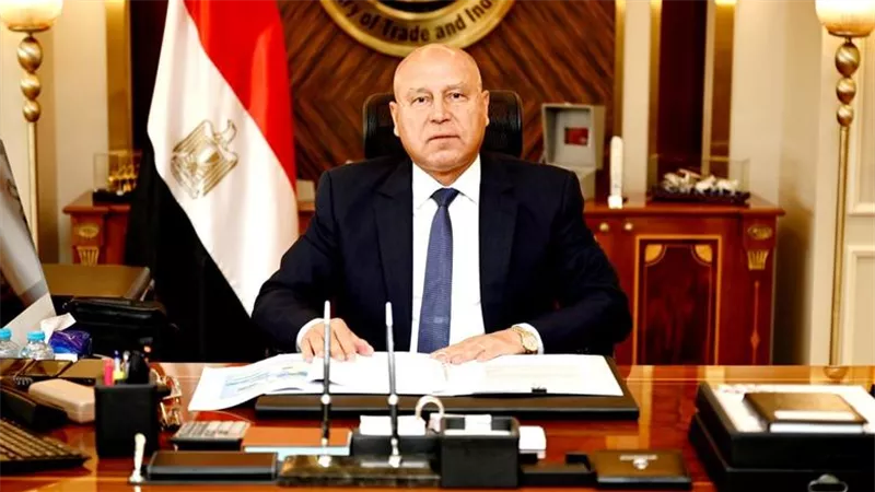 كامل الوزير: تنفيذ 28 فرصة للصناعات الواعدة في مقدمتها 