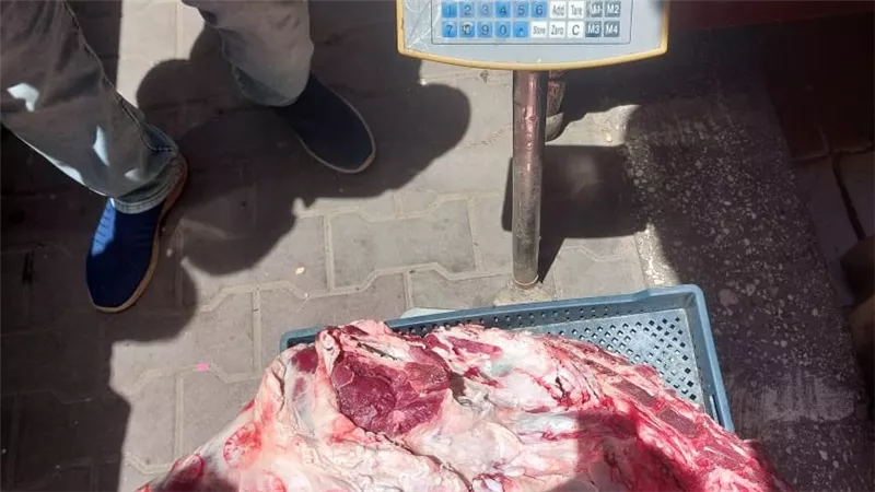 ضبط لحوم مذبوحة خارج المجازر الحكومية خلال حملة تموينية بأسيوط