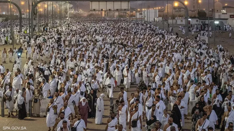 الصحة: تقديم 35 ألف خدمة طبية للحجاج المصريين بمكة والمدينة خلال الحج