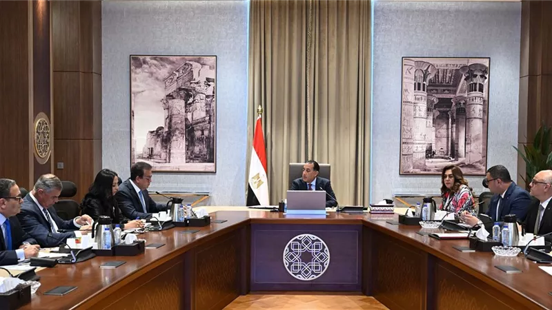  رئيس الوزراء يستعرض الفرص الاستثمارية في قطاع الكهرباء والطاقة